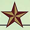 Texas State University star